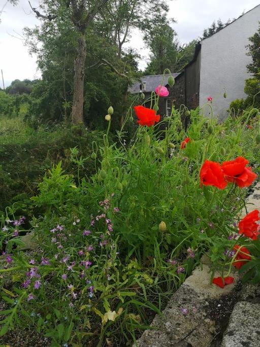 Riverside Cottage At Logwood Mill Ballyclare Екстер'єр фото