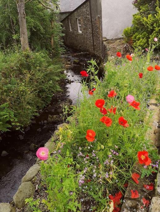 Riverside Cottage At Logwood Mill Ballyclare Екстер'єр фото