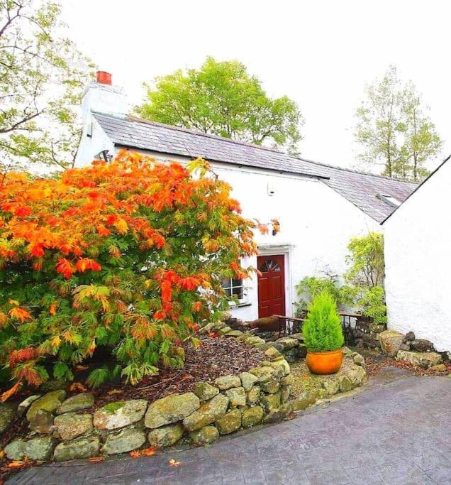 Riverside Cottage At Logwood Mill Ballyclare Екстер'єр фото