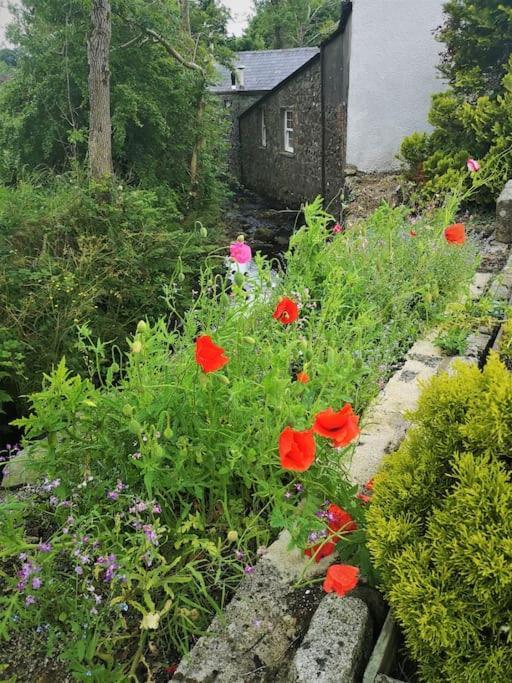 Riverside Cottage At Logwood Mill Ballyclare Екстер'єр фото