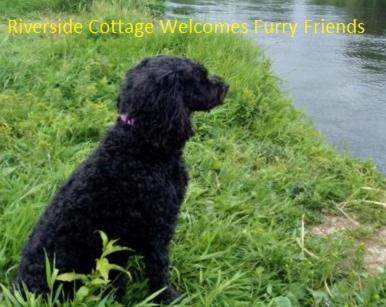 Riverside Cottage At Logwood Mill Ballyclare Екстер'єр фото