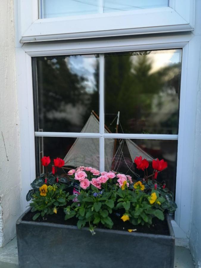 Riverside Cottage At Logwood Mill Ballyclare Екстер'єр фото