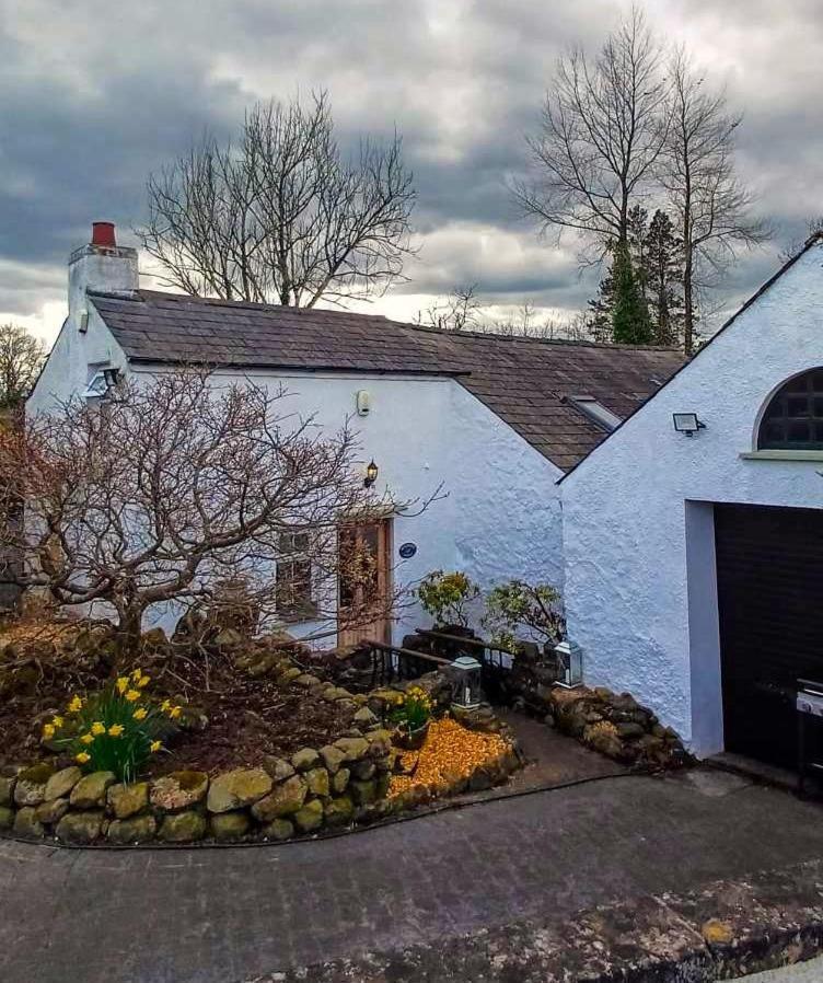 Riverside Cottage At Logwood Mill Ballyclare Екстер'єр фото